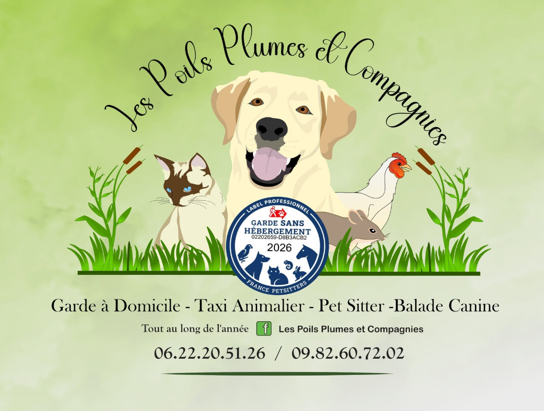 Visuel officiel Les Poils Plumes et Compagnies : chien, chat, poule, lapin, roseaux et label professionnel 2026